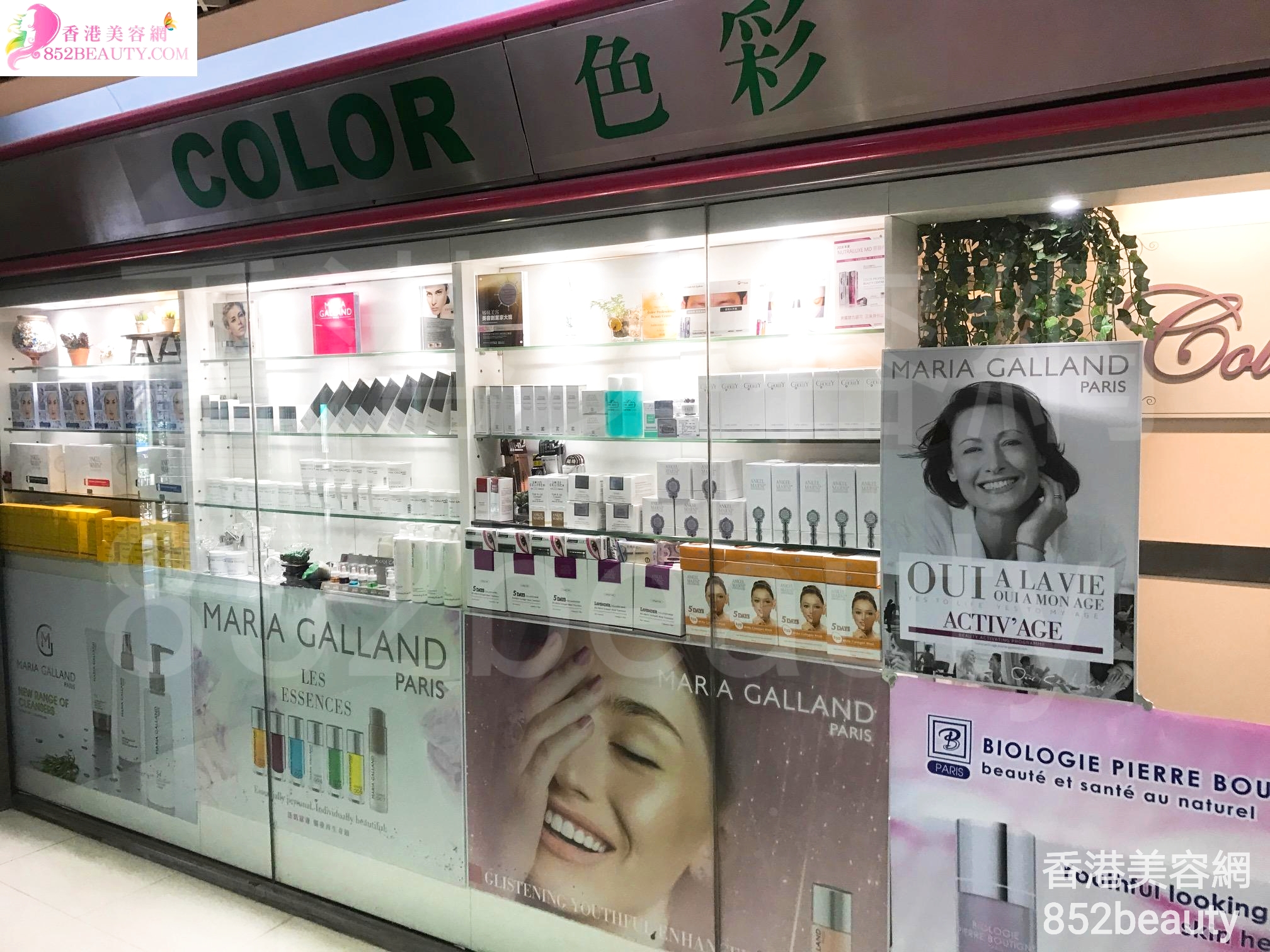 香港美容網 Hong Kong Beauty Salon 美容院 / 美容師: 色彩專業美容中心