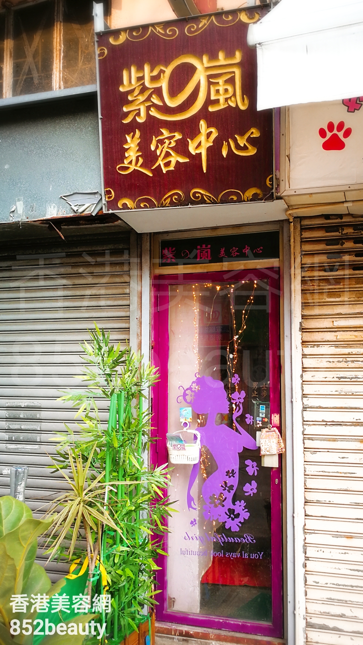 美容院: 紫の嵐美容中心