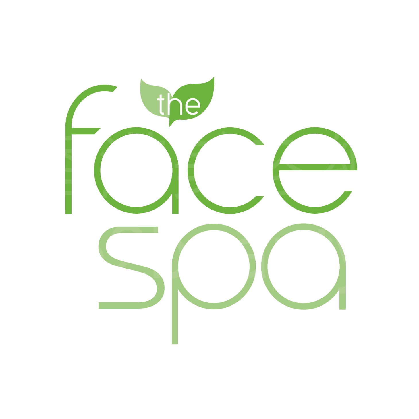 光学美容: The Face Spa